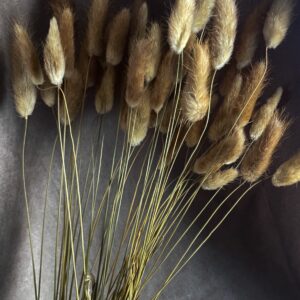 Bunny Tails – Brown
