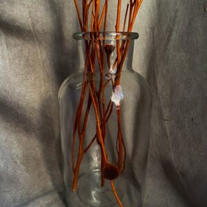 Tall-glass-bottle-with-orange-wild-daisy