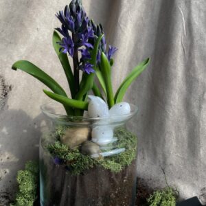 Hyacinth-potted-terrarium