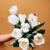 Fresh-white-tulips
