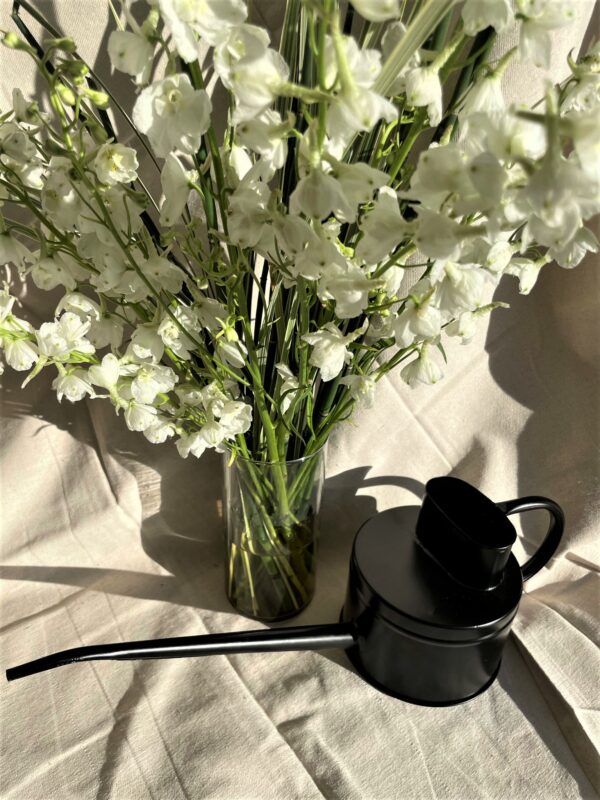black-watering-can