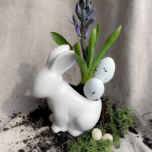 easter-bunny-potted-plant