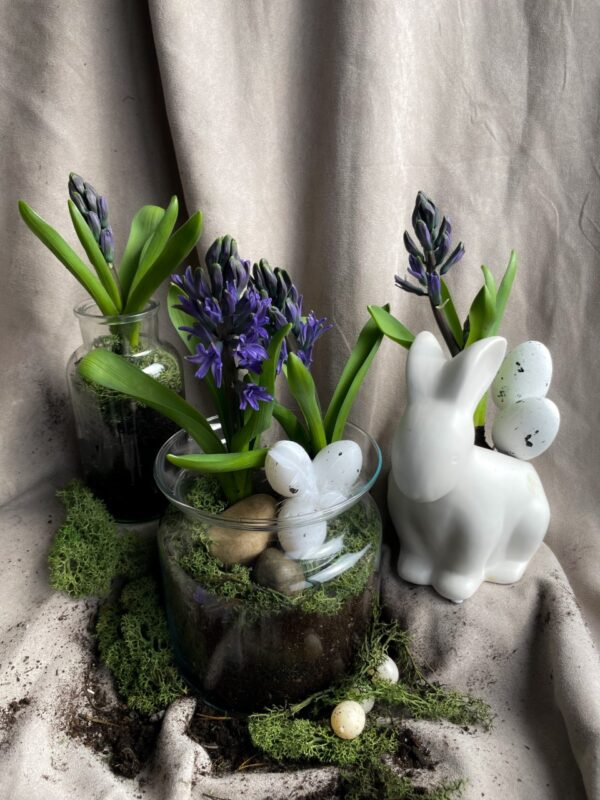 easter-bunny-potted-plant